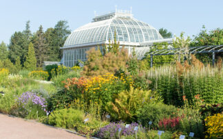 Ticket | Glasshouses | 2025