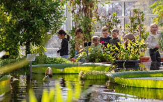 Ticket | Educational and Child Group | Glasshouses | 2025