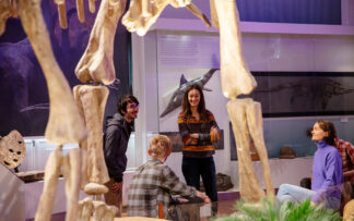 Ticket | Group | Natural History Museum | 2025