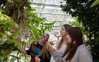 Ticket | Group | Glasshouses | 2025