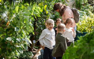 Ticket | Educational and Child Group | Glasshouses | 2026