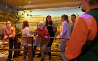 Ticket | Educational and Child Groups | Natural History Museum | 2026