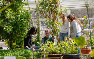 Ticket | Group | Glasshouses | 2026