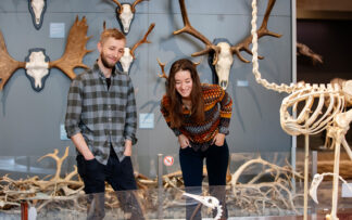 Ticket | Group | Natural History Museum | 2026